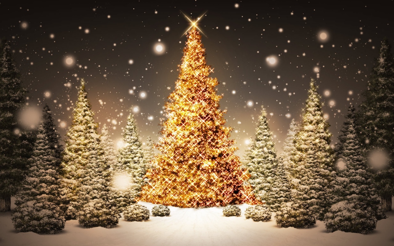 christmas-tree-stars
