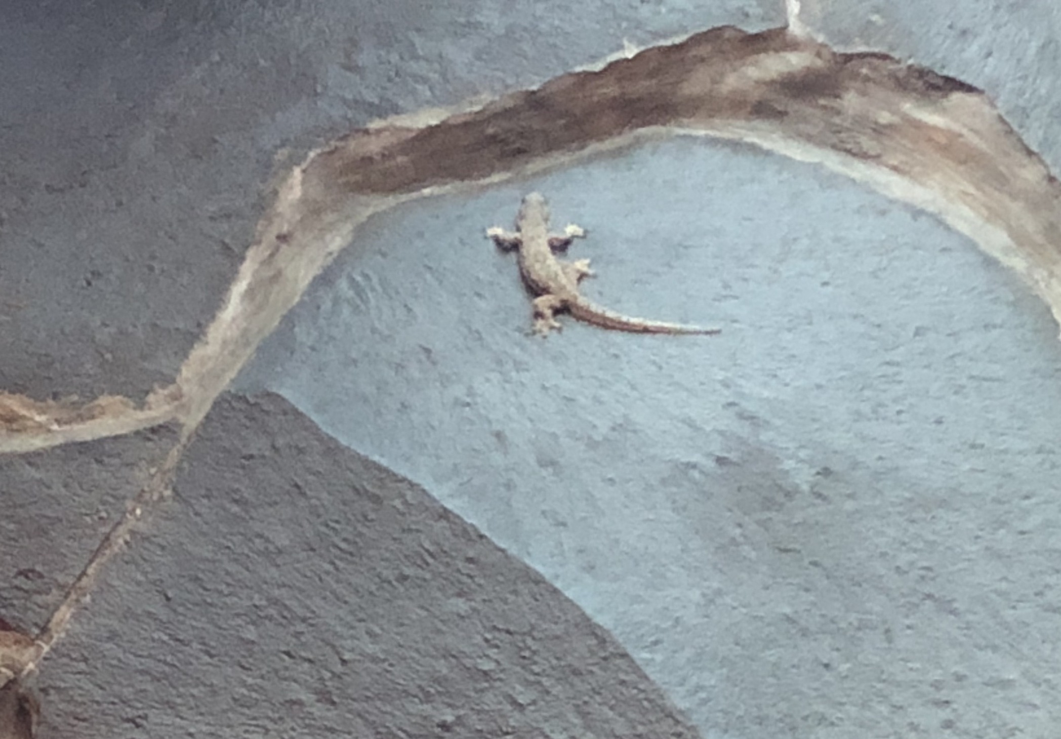 csicsakkicsi