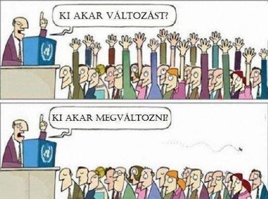 kiakar