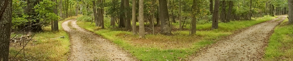 two-paths-200