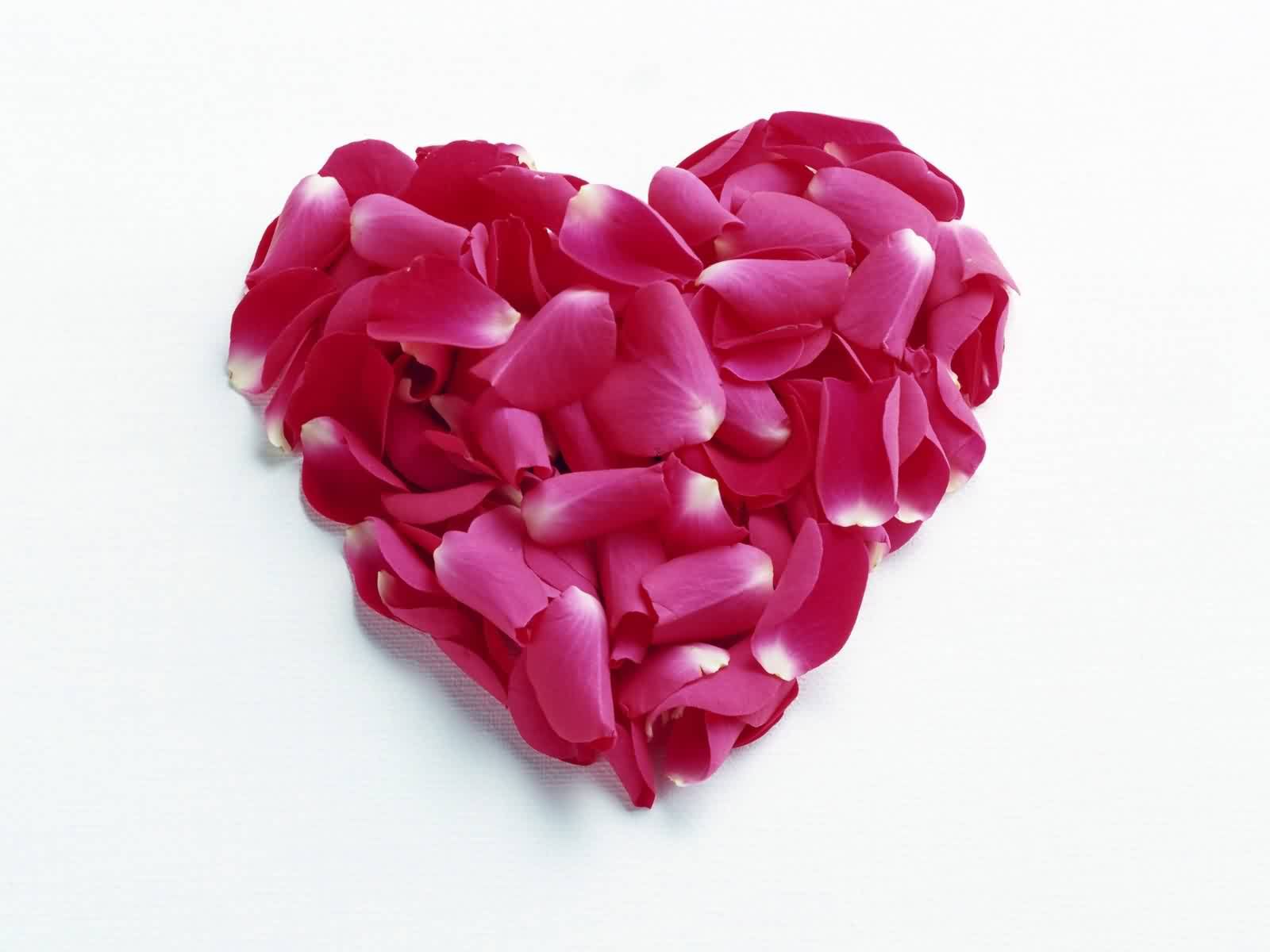 roses-petals-heart-